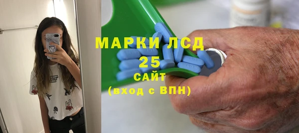 индика Арсеньев