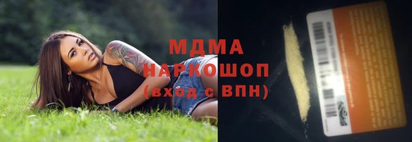 индика Арсеньев