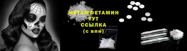индика Арсеньев