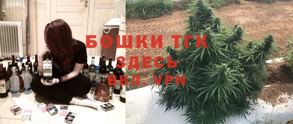 индика Арсеньев