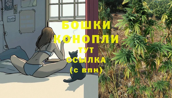 индика Арсеньев