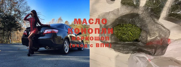 индика Арсеньев