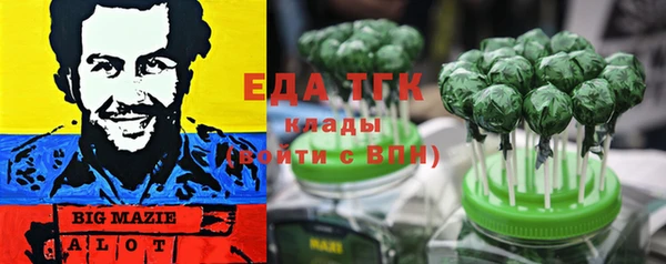 индика Арсеньев