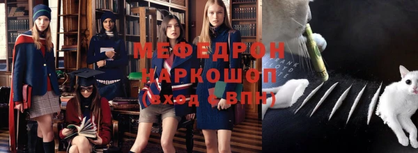 индика Арсеньев